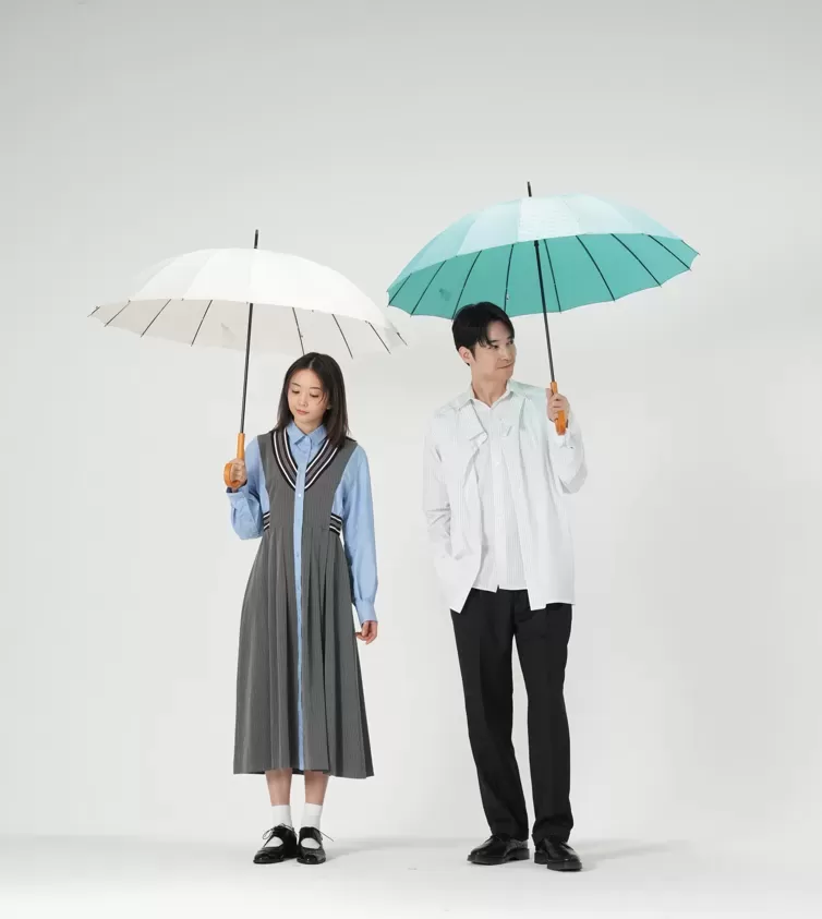 16本骨傘 江戸